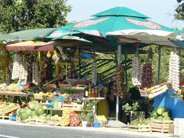 Along the roads of Dalmatia