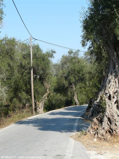 On the roads of PAXI