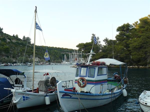 GAIOS