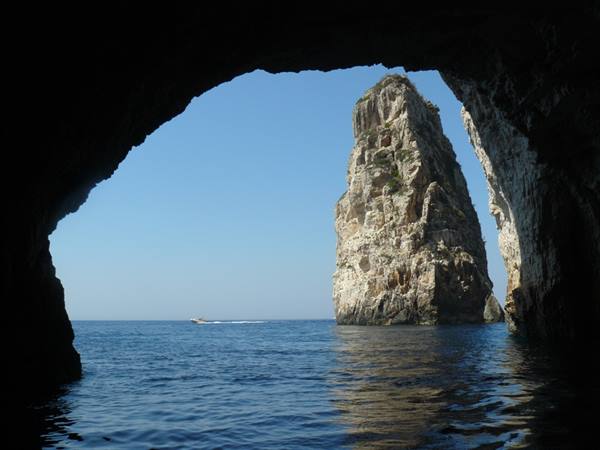 PAXI - ORTOLITHOS, West Coast