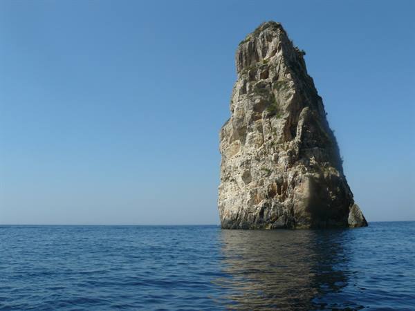 PAXI - ORTOLITHOS, West Coast
