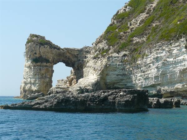 PAXI - West Coast, Natural Arch