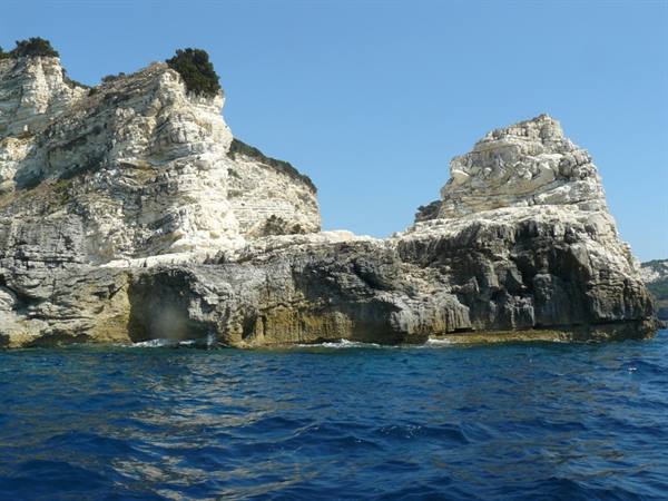 ANTIPAXI - West Coast