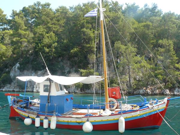 GAIOS