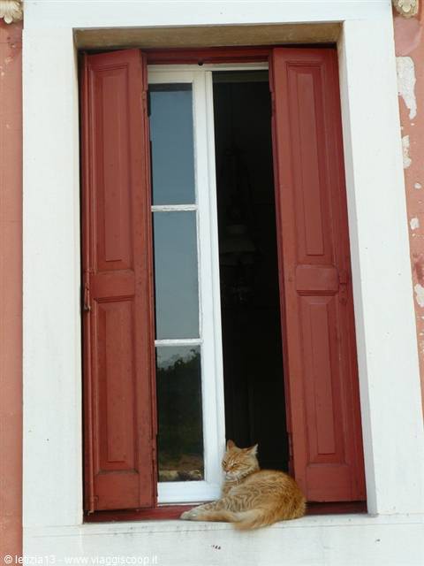 GAIOS