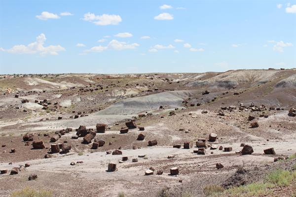 Petrified Forest NP