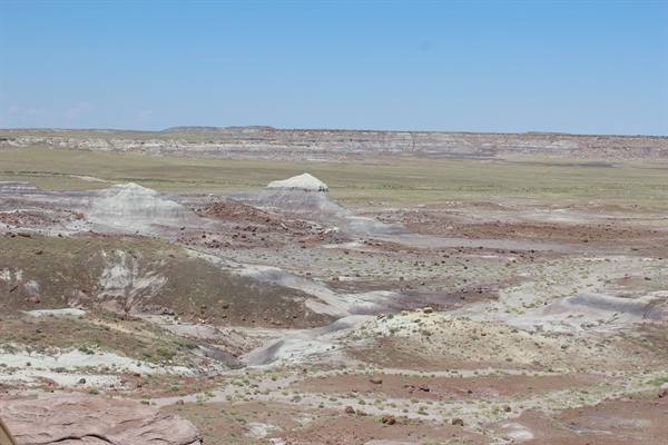Petrified Forest NP
