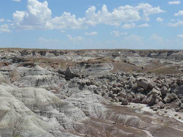 Petrified Forest NP
