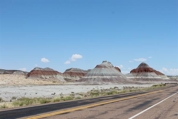 Petrified Forest NP