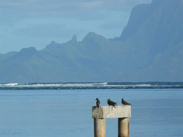 Le Meridien Tahiti - View of Moorea