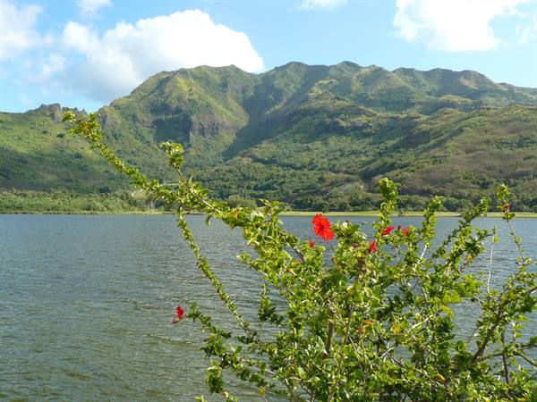 Temae Lake