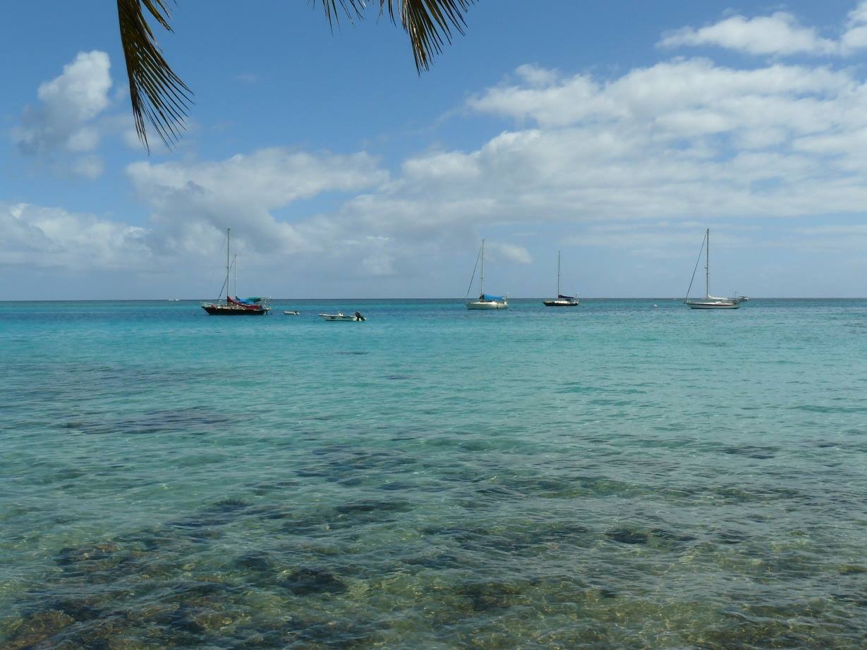Cook Bay
