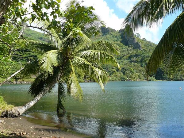 Opunohu Bay
