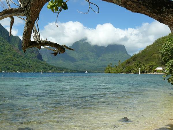 Opunohu Bay