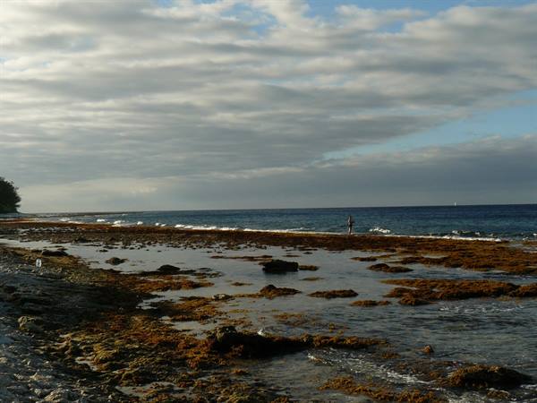 Motu Temae