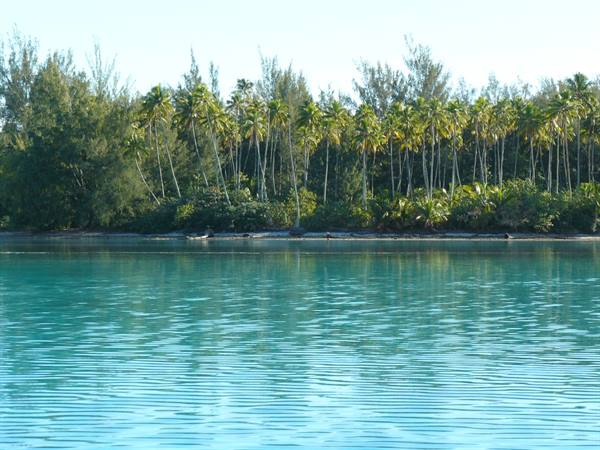 Moorea's coast