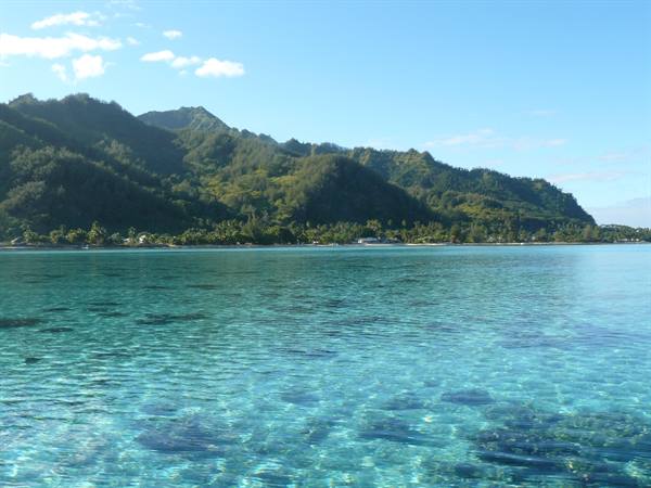 Moorea's coast