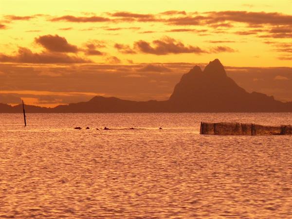 Sunset over Bora Bora