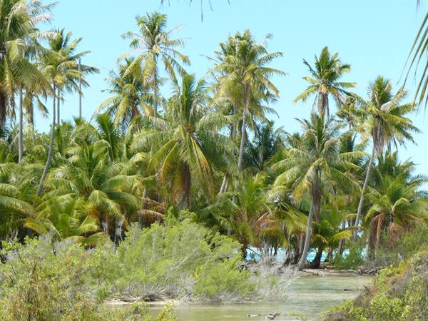 to the deserted Island
