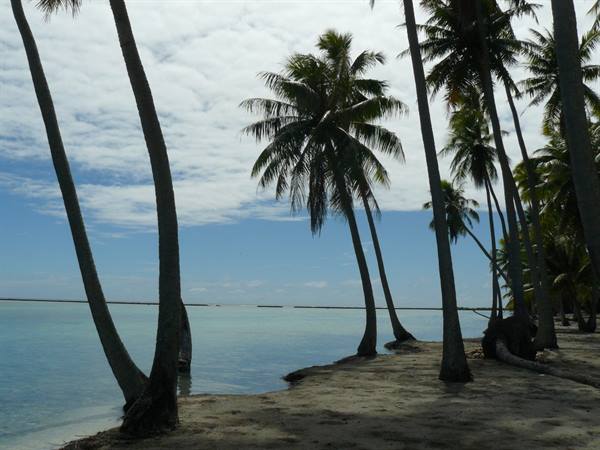 to the deserted Island