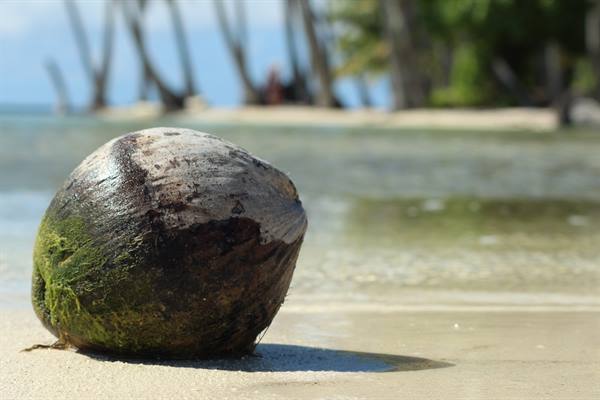 to the deserted Island