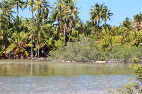 to the deserted Island