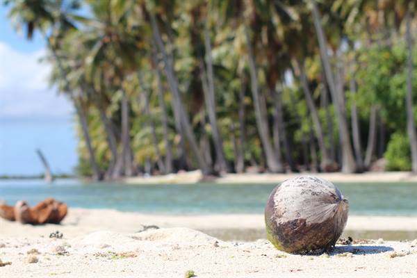 to the deserted Island
