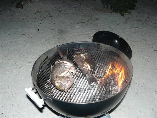Our do-it-yourself dinner