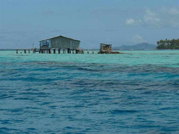 The lagoon