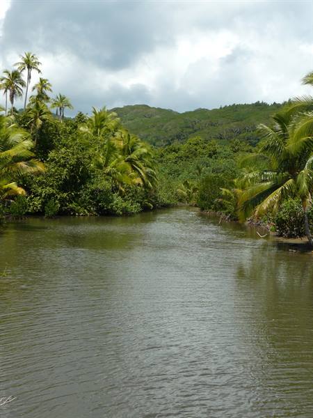 Glimpse of the interior of the island