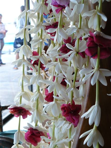 Welcome at Bora Bora Airport