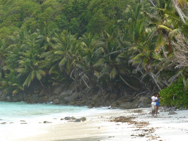 Anse Parnel