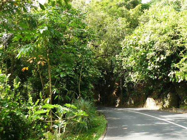 On the road to Port Glaud