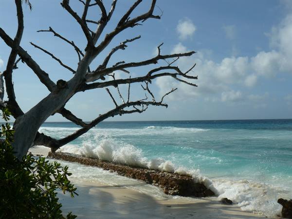 Anse Gaulette