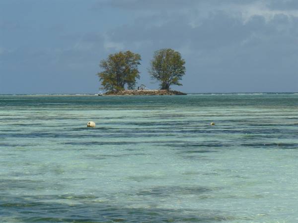 Anse La Reunion