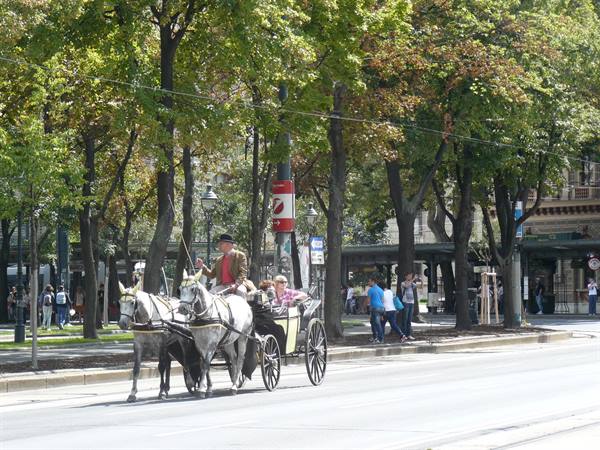 Vienna