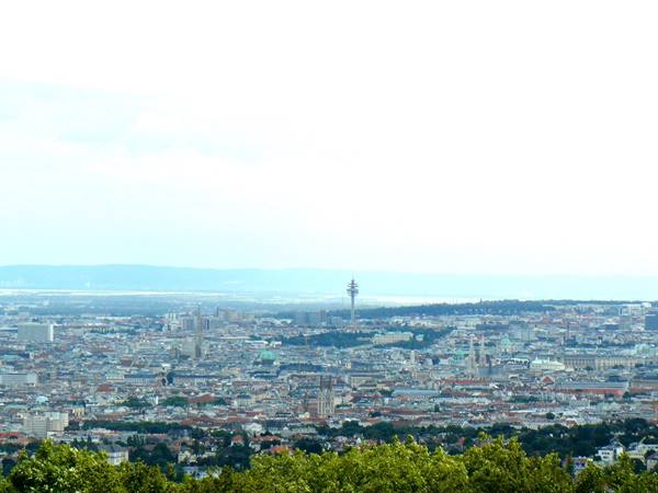 Vienna - Panorama of the city