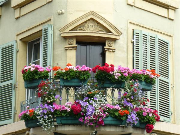 Colmar