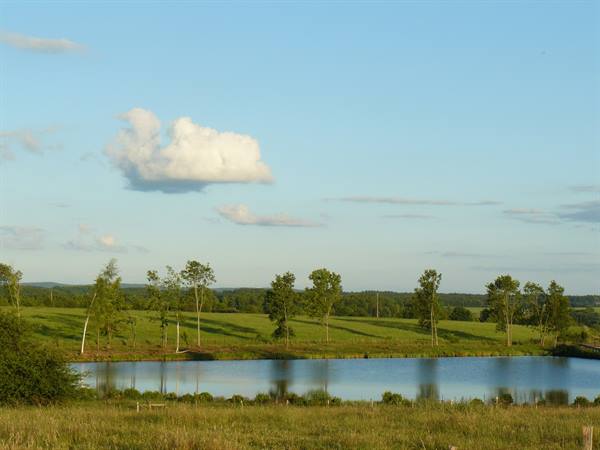 Countryside around Épinal