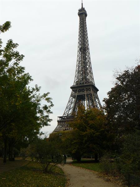 The Eiffel Tower from Champ de Mars