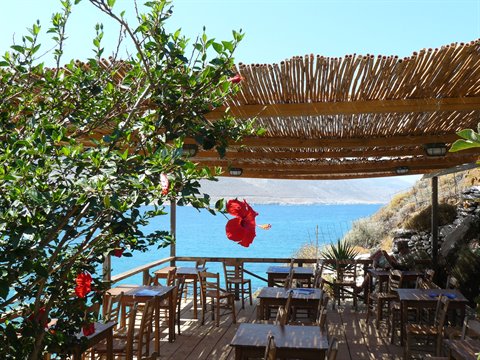 Wooden tables under bamboo pergola, red hibiscus and turquoise sea