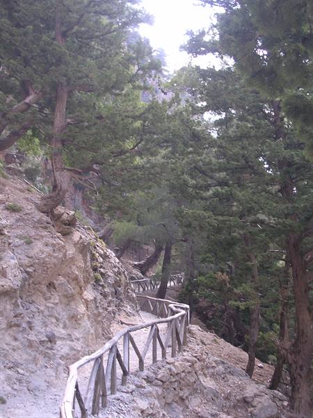 Samaria Gorge