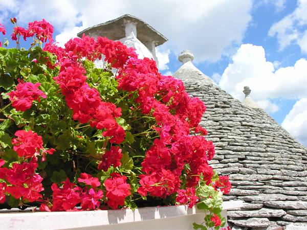 Alberobello