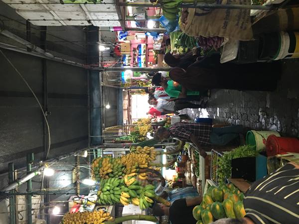 Covered market with banana and papaya stalls, people walking through the aisles