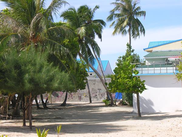 Wandering around the Island