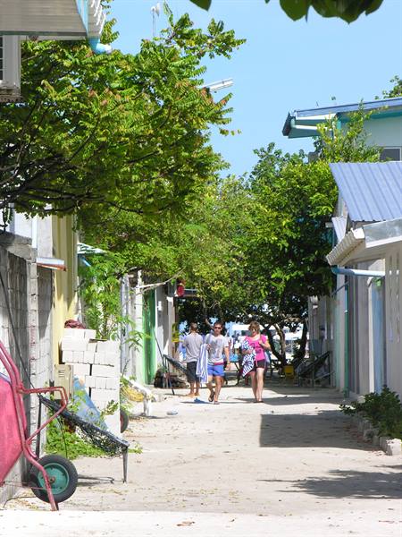 Wandering around the Island