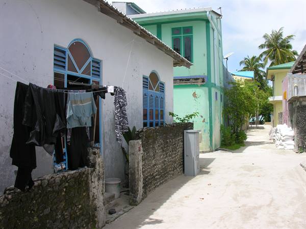 Wandering around the Island