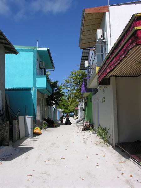 Wandering around the Island