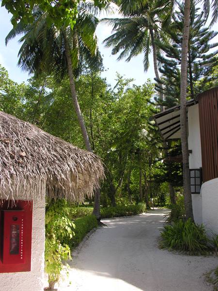 Wandering around the island