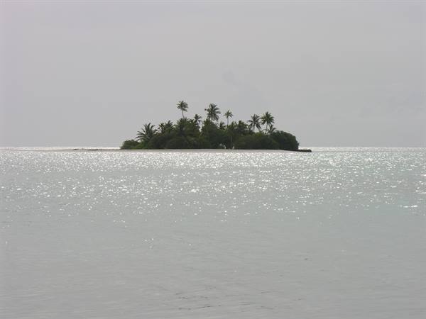 The deserted island